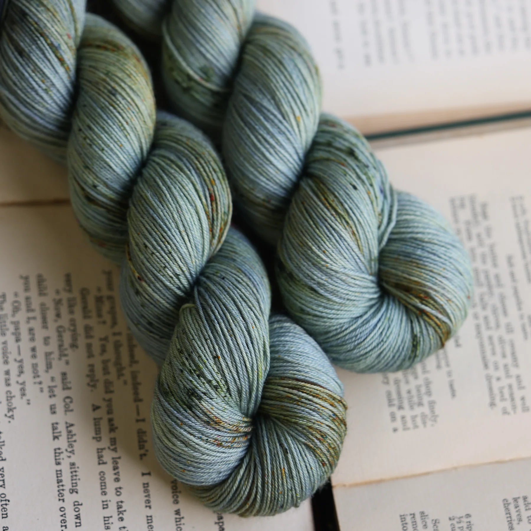 bad sheep yarn; fingering; Elinor;