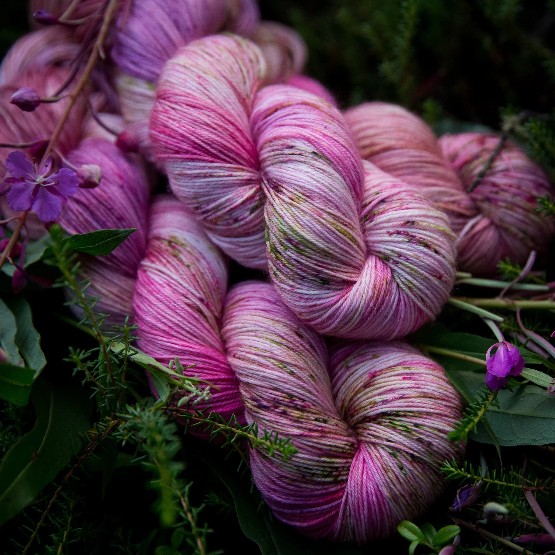 bad sheep yarn; fingering; fireweed;