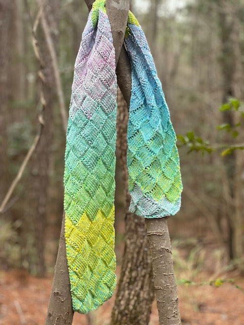 Beginning Entrelac Scarf Class with Stacey