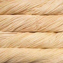 Malabrigo Yarn Vientos