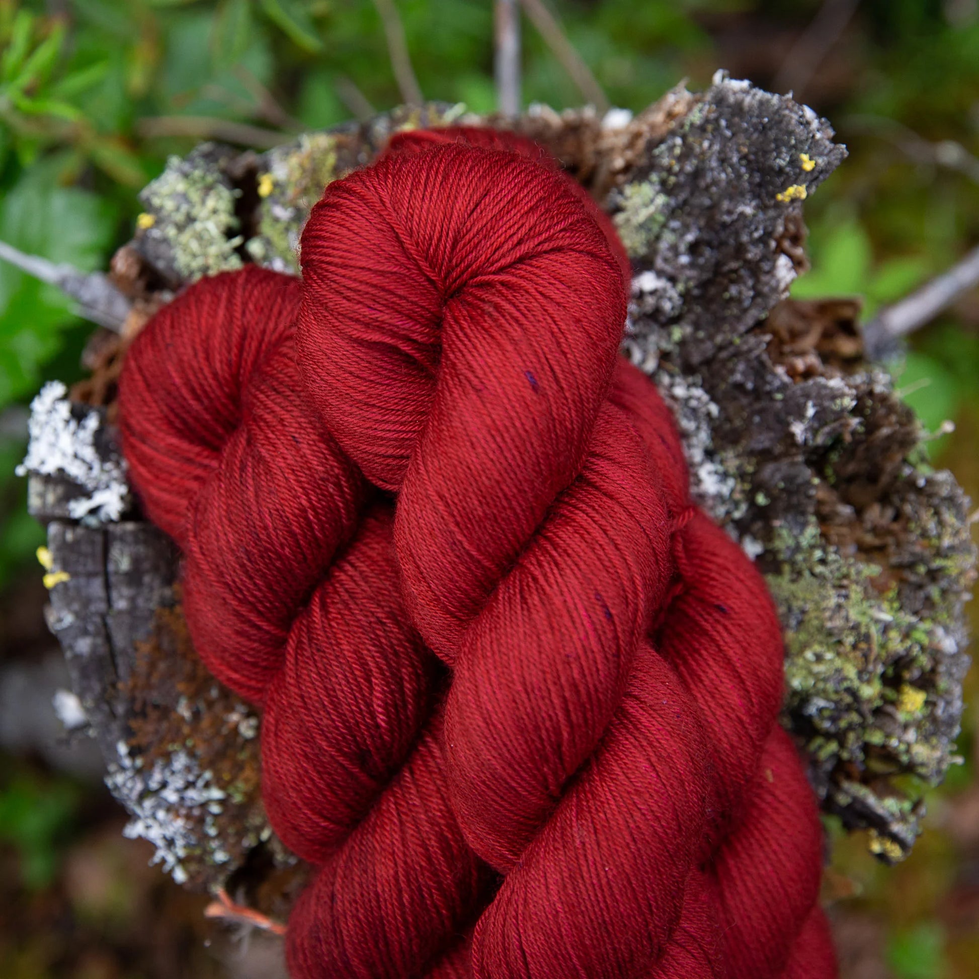 bad sheep yarn; fingering; kennicott;